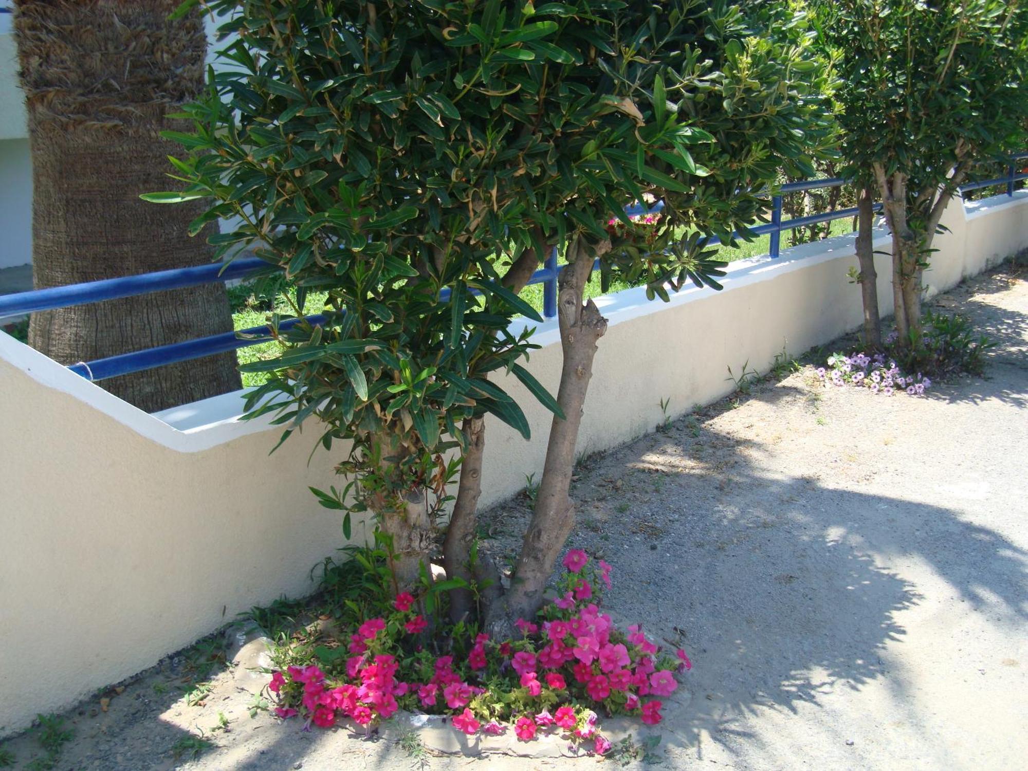 Philippos Studios & Apartments Kardamena  Bagian luar foto