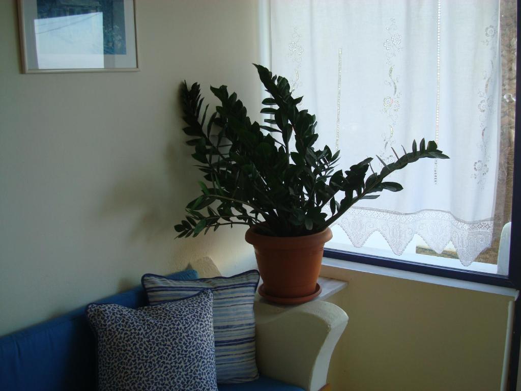 Philippos Studios & Apartments Kardamena  Bagian luar foto