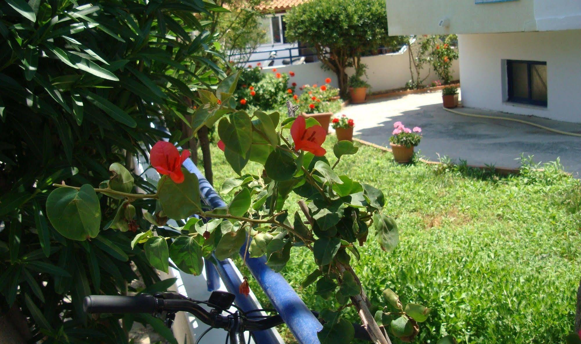 Philippos Studios & Apartments Kardamena  Bagian luar foto